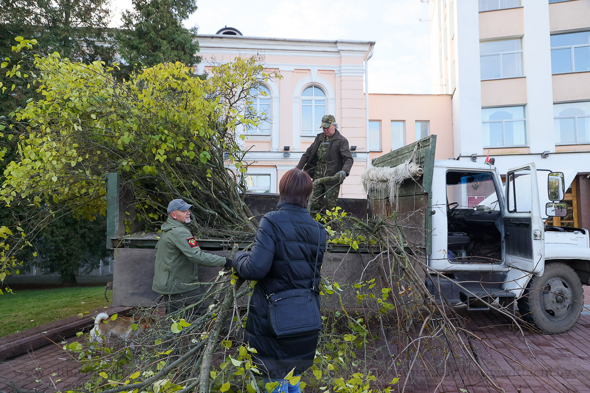 Порядок в городе – все это в наших руках