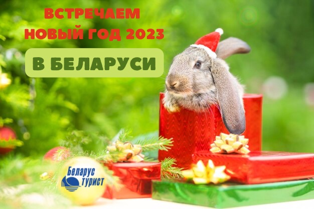  Встречайте Новый 2023