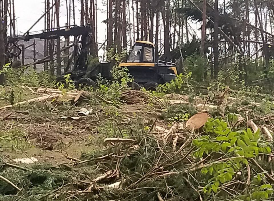  На Гомельщине трудятся операторы специализированной лесозаготовительной техники (Харвестеров, Форвардеров написать правильно), а также представители инженерно-технического состава. Бригады занимаются одним из самых сложных типов лесозаготовительных рубок – и вероятность получения производственных травм высокая. Поэтому в Жлобинском районе для профсоюзного мониторинга и содействия безопасному производству работ находится технический инспектор труда Витебской областной организации Белорусского профсоюза работников леса и природопользования Игорь Лобков. 